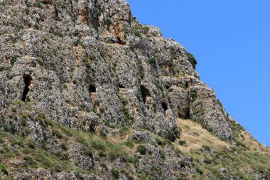 Taşların ve kayaların dokusu İsrail 'in kuzeyindeki bir şehir parkına yakın. 