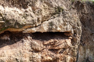 Taşların ve kayaların dokusu İsrail 'in kuzeyindeki bir şehir parkına yakın. 