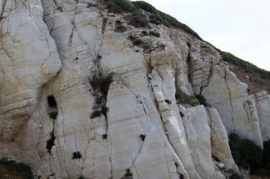 Taşların ve kayaların dokusu İsrail 'in kuzeyindeki bir şehir parkına yakın. 
