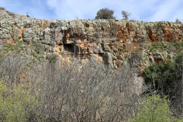 Taşların ve kayaların dokusu İsrail 'in kuzeyindeki bir şehir parkına yakın. 