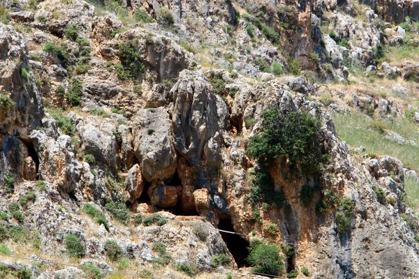 Tekstura Skał Kamieni Zbliżenie Parku Miejskim Północnym Izraelu — Zdjęcie stockowe