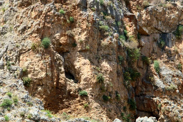 Υφή Βράχων Και Πετρωμάτων Κοντινό Πλάνο Πάρκο Της Πόλης Στο — Φωτογραφία Αρχείου