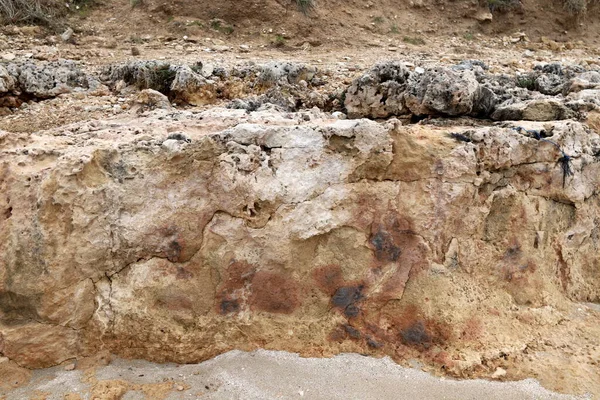 Текстура Каміння Каміння Близько Вгору Міському Парку Півночі Ізраїлю — стокове фото