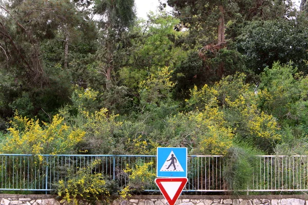 イスラエルの道路や公園に設置されている道路標識や情報標識は — ストック写真