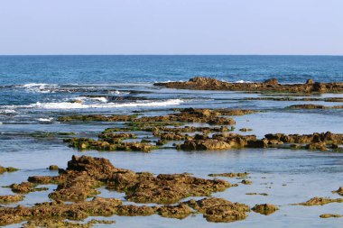 İsrail 'in kuzeyindeki Akdeniz kıyıları. İnsanlar görünür değil, hepsi kendini izole ediyor.. 