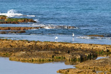 İsrail 'in kuzeyindeki Akdeniz kıyıları. İnsanlar görünür değil, hepsi kendini izole ediyor.. 