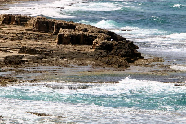 Costa Mediterrânica Norte Estado Israel Pessoas Não São Visíveis Tudo — Fotografia de Stock