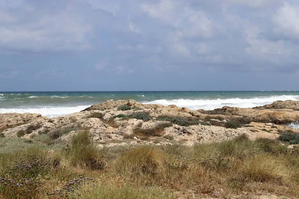 イスラエル北部の地中海沿岸 人々は すべての自己隔離で 見えない — ストック写真