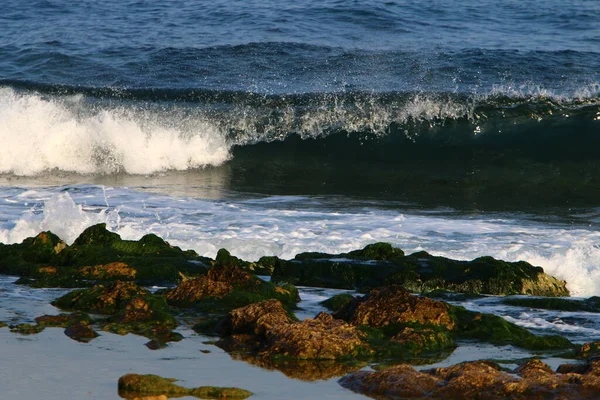 Costa Mediterrânica Norte Estado Israel Pessoas Não São Visíveis Tudo — Fotografia de Stock