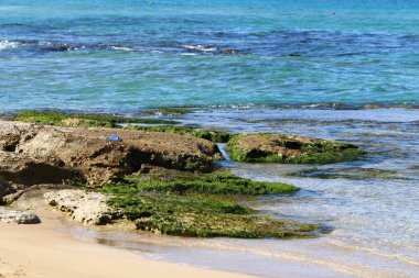 İsrail 'in kuzeyindeki Akdeniz kıyıları. İnsanlar görünür değil, hepsi kendini izole ediyor.. 