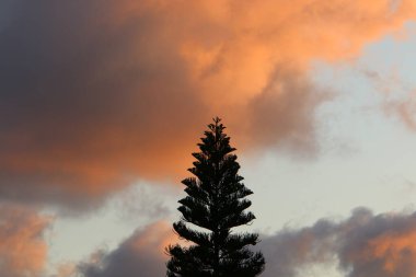 Gün batımında ufukta ateş gibi kırmızı bir gökyüzü beliriyor. Kuzey İsrail 'deki Akdeniz' de güneş ufuktan batıyor. 