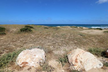 taşlar İsrail devletinin kuzeyinde Akdeniz kıyısında bir parkta yalan 