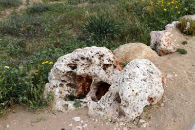 taşlar İsrail devletinin kuzeyinde Akdeniz kıyısında bir parkta yalan 