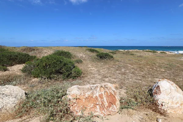 Pedras Encontram Parque Nas Margens Mar Mediterrâneo Norte Estado Israel — Fotografia de Stock