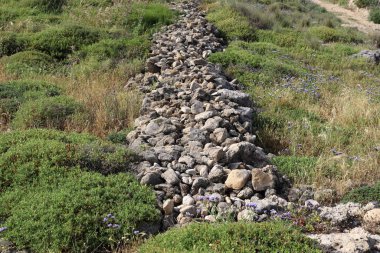 taşlar İsrail devletinin kuzeyinde Akdeniz kıyısında bir parkta yalan 