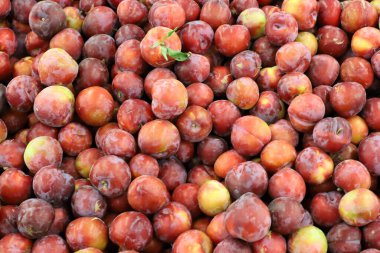 İsrail 'in kuzeyindeki Acre şehrindeki bir pazarda meyve ve sebze satılıyor. 