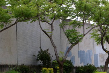 Taş ve betondan yapılmış yüksek duvar. Taş duvar dokusu 