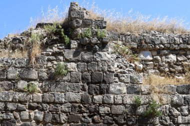 Taş ve betondan yapılmış yüksek duvar. Taş duvar dokusu 
