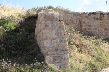 Taş ve betondan yapılmış yüksek duvar. Taş duvar dokusu 