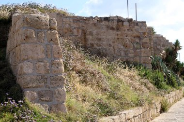 Taş ve betondan yapılmış yüksek duvar. Taş duvar dokusu 
