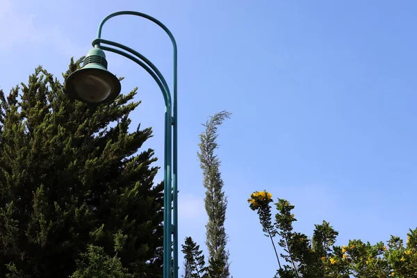 electric lamp installed in a city park in northern Israel