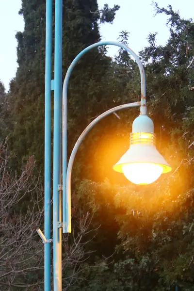 Elektrische Lamp Geïnstalleerd Een Stadspark Het Noorden Van Israël — Stockfoto