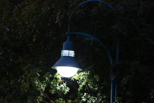 北イスラエルの都市公園に設置された電気ランプ — ストック写真