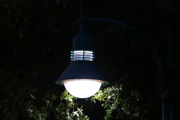 Elektrische Lamp Geïnstalleerd Een Stadspark Het Noorden Van Israël — Stockfoto