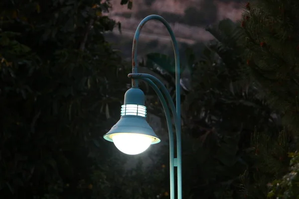 Elektrische Lamp Geïnstalleerd Een Stadspark Het Noorden Van Israël — Stockfoto