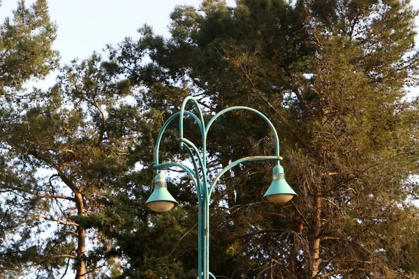 Электрическая Лампа Установлена Городском Парке Севере Израиля — стоковое фото