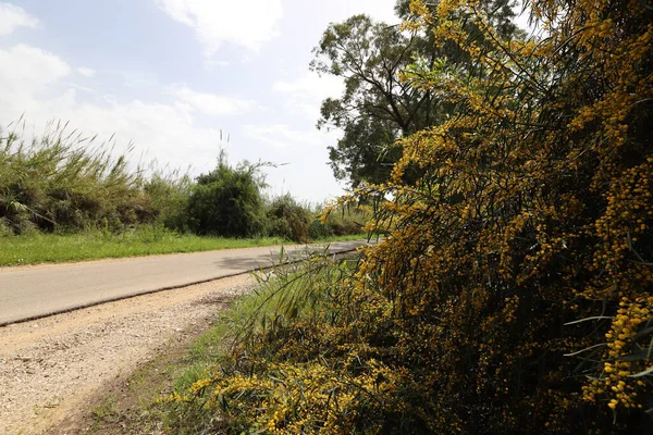 Asphaltierte Straße Israel Von Norden Nach Süden Heißer Sommer Israel — Stockfoto