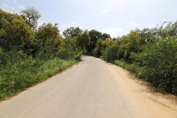 Srail Kuzeyden Güneye Asfalt Yol Srail Sıcak Yaz — Stok fotoğraf