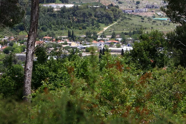 Paisaje Una Pequeña Ciudad Las Montañas Norte Israel Verano Caliente — Foto de Stock