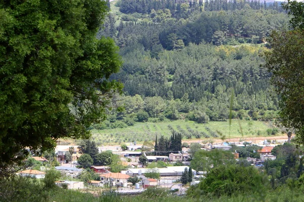 Paisagem Uma Pequena Cidade Nas Montanhas Norte Israel Verão Quente — Fotografia de Stock