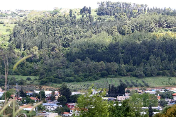 이스라엘 의산에 마을의 풍경이다 이스라엘의 — 스톡 사진