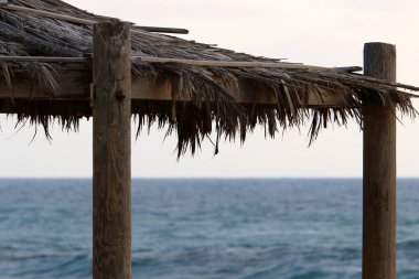 İsrail 'de deniz kenarındaki bir parktaki sıcak güneşten bir gölgelik. İsrail 'de sıcak yaz 