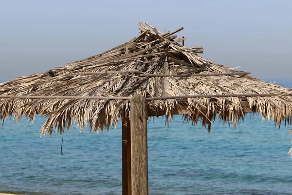 Dosel Del Sol Caliente Parque Ciudad Junto Mar Israel Verano — Foto de Stock