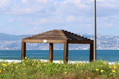 İsrail 'de deniz kenarındaki bir parktaki sıcak güneşten bir gölgelik. İsrail 'de sıcak yaz 