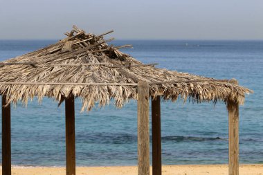 İsrail 'de deniz kenarındaki bir parktaki sıcak güneşten bir gölgelik. İsrail 'de sıcak yaz 