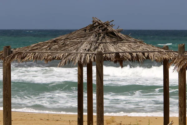 Canopy Hot Sun City Park Sea Israel Hot Summer Israel — Stock Photo, Image