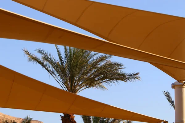 Canopy Hot Sun City Park Sea Israel Hot Summer Israel — Stock Photo, Image