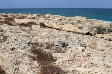 İsrail devletinin kuzeyindeki Akdeniz 'in kıyısı. İsrail 'de sıcak yaz 