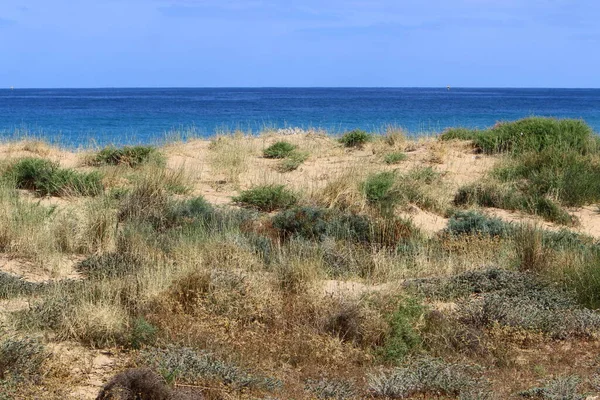 Costa Mar Mediterrâneo Norte Estado Israel Verão Quente Israel — Fotografia de Stock