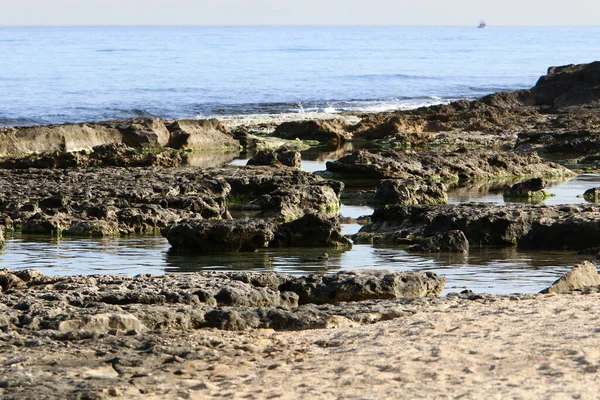 Medelhavets Kust Norra Delen Staten Israel Varm Sommar Israel — Stockfoto