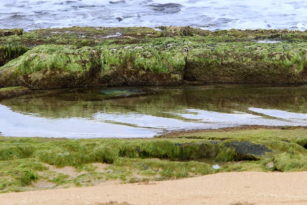 Rive Mer Méditerranée Nord État Israël Été Chaud Israël — Photo