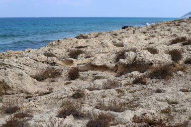 İsrail devletinin kuzeyindeki Akdeniz 'in kıyısı. İsrail 'de sıcak yaz 
