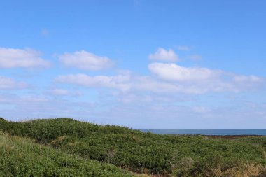 İsrail devletinin kuzeyindeki Akdeniz 'in kıyısı. İsrail 'de sıcak yaz 