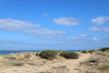 İsrail devletinin kuzeyindeki Akdeniz 'in kıyısı. İsrail 'de sıcak yaz 
