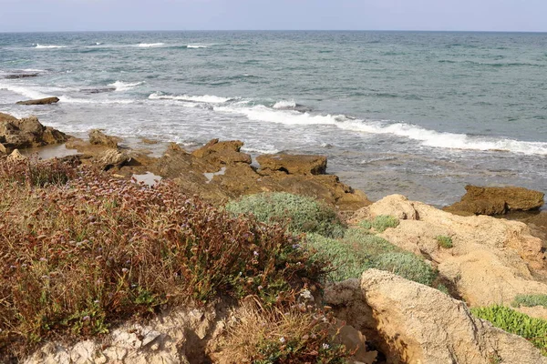 Pobřeží Středozemního Moře Severu Státu Izrael Horké Léto Izraeli — Stock fotografie