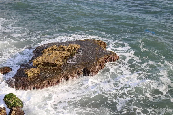 Riva Del Mar Mediterraneo Nel Nord Dello Stato Israele Estate — Foto Stock